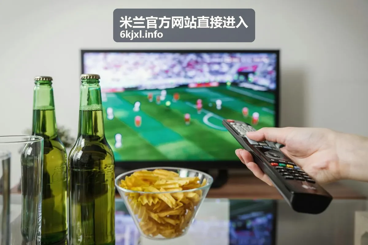 业务方向与服务范围信息整理